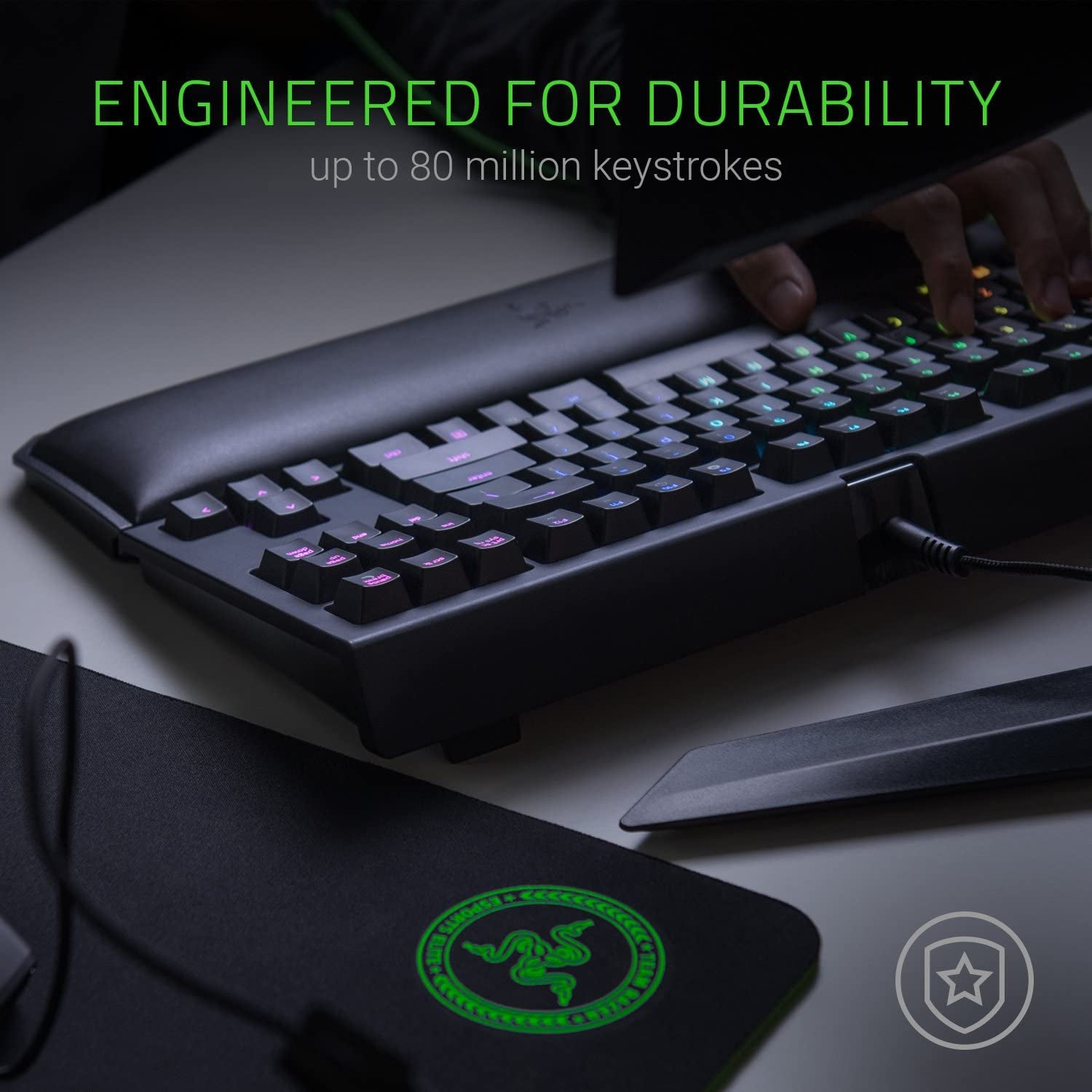 Blackwidow TE Chroma V2 TKL Tenkeyless Mechanical Gaming Keyboard: Orange Key Switches, Tactile & Silent, Chroma RGB Lighting, Magnetic Wrist Rest, Programmable Macros, Classic Black