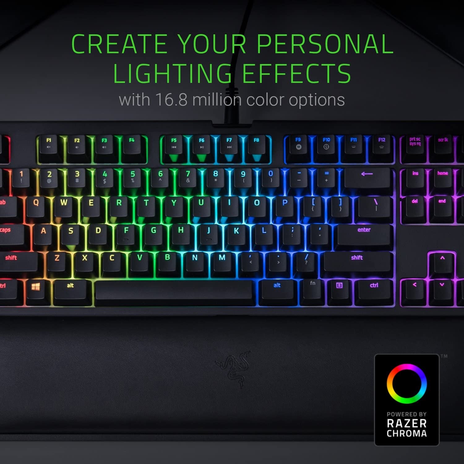 Blackwidow TE Chroma V2 TKL Tenkeyless Mechanical Gaming Keyboard: Orange Key Switches, Tactile & Silent, Chroma RGB Lighting, Magnetic Wrist Rest, Programmable Macros, Classic Black